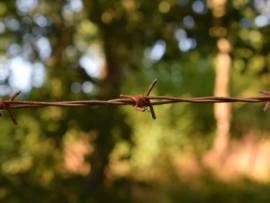 shallow-photography-of-barbwire-1009885-730x330