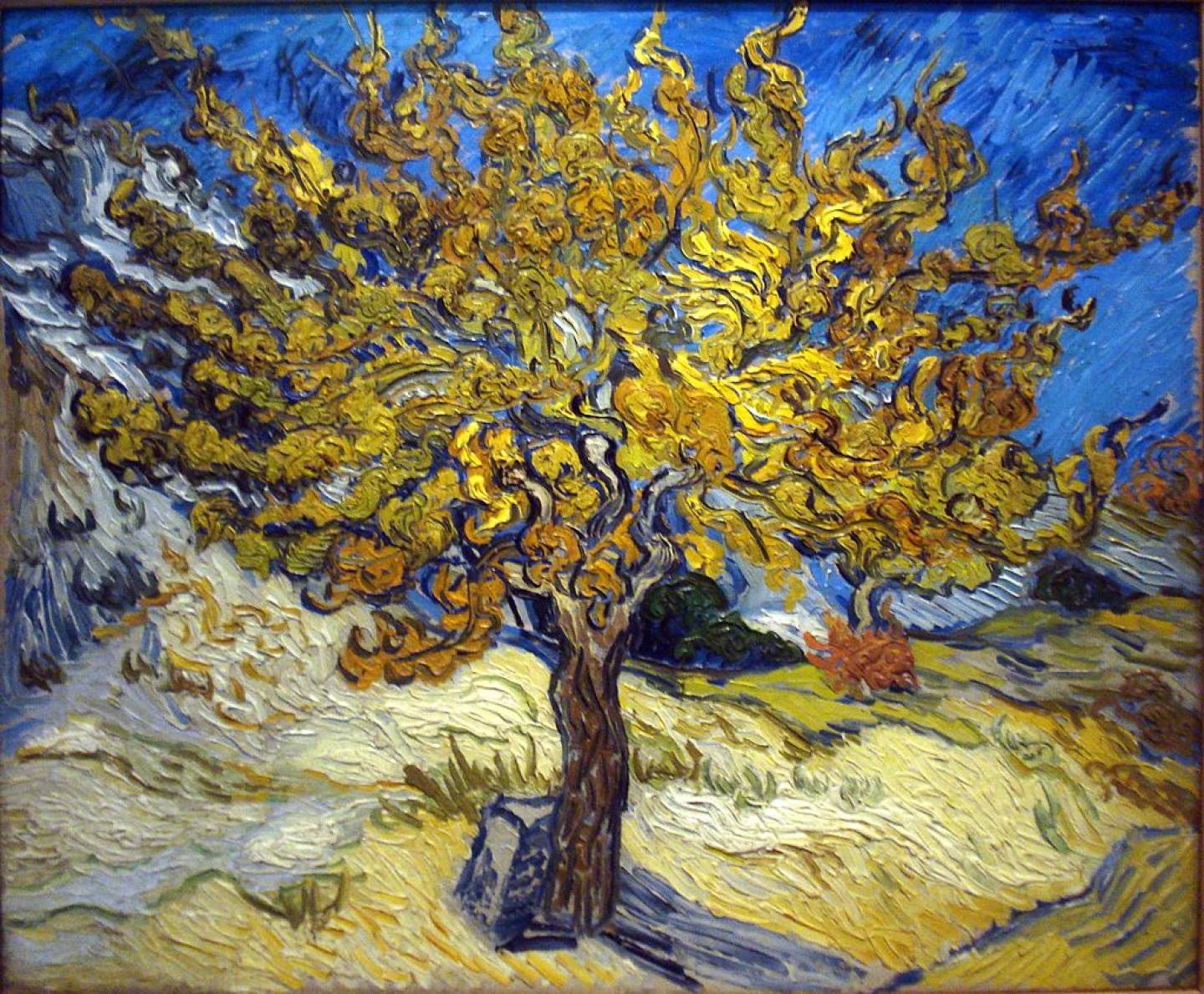 moerbeiboom Vincent van Gogh